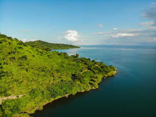 Blue Zebra Island - Lake Malawi