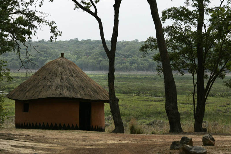Kasanka  National Park Zambia