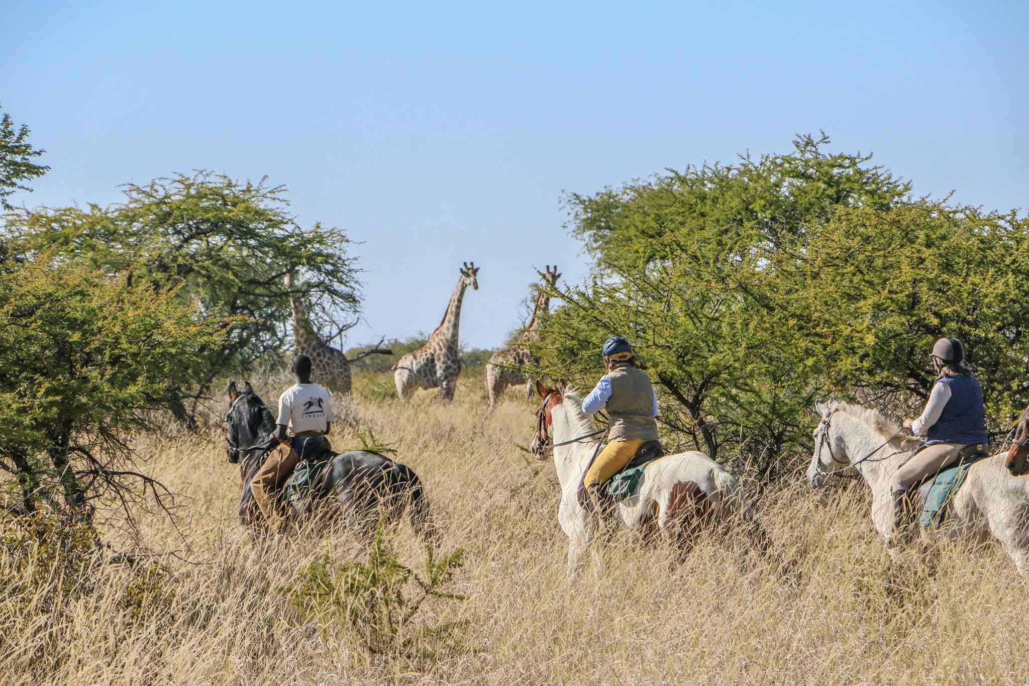 Paardrijd safari Zimbabwe Hwange